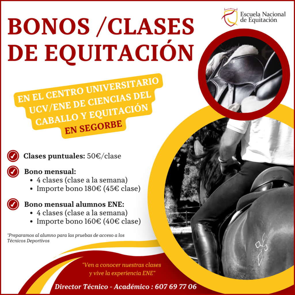 Clases de equitación